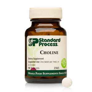 Choline (90 tablets)